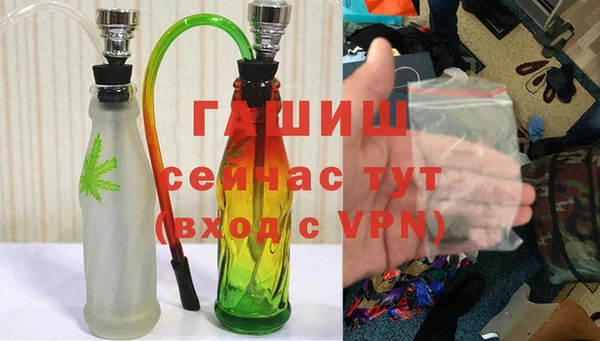 гашик Тавда