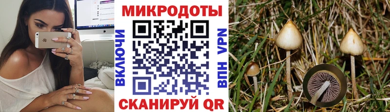 наркота  Котово  Галлюциногенные грибы Magic Shrooms 